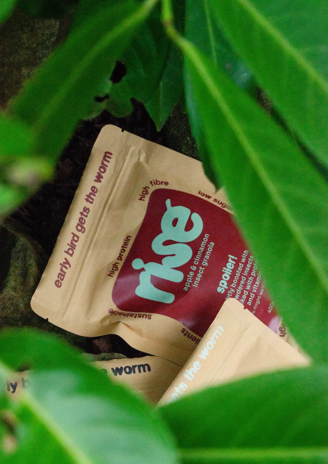 A rise apple and cinnamon pouch seen through green leaves